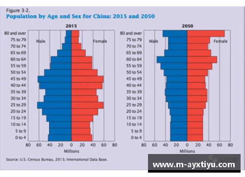 西甲球员的年龄结构与未来趋势